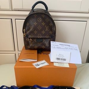 Louis Vuitton Monogram Palm Springs Mini Backpack